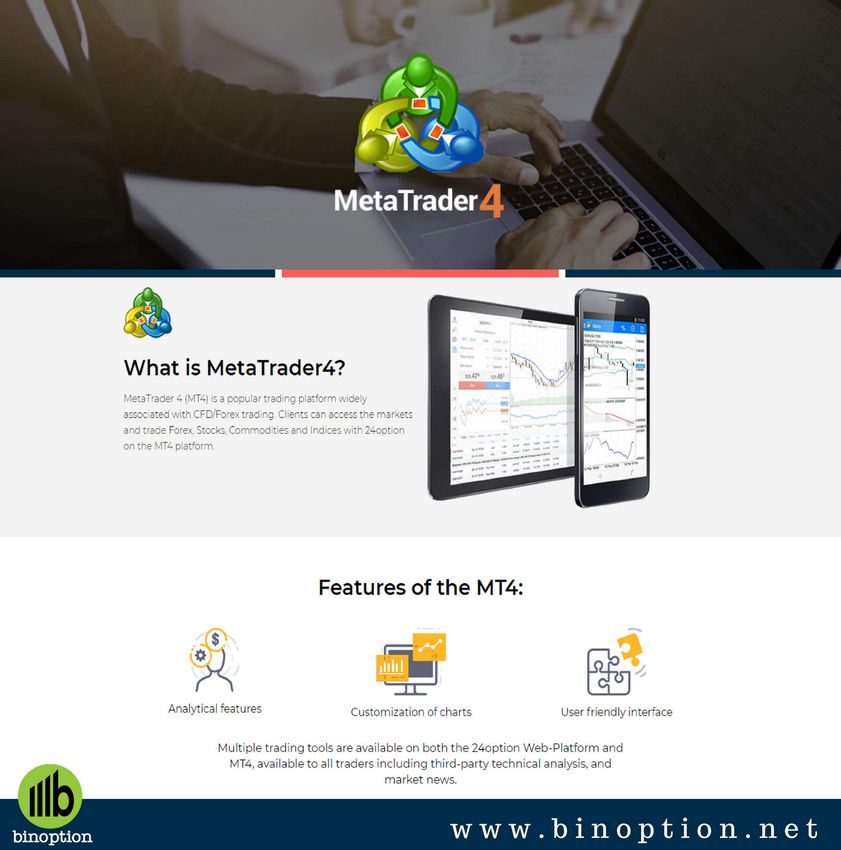 24option Evaluation: Complete Broker Summary